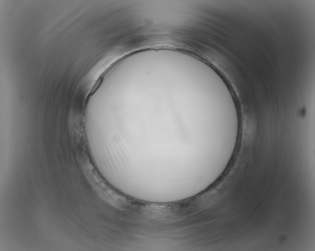 X0000116261481200912291446