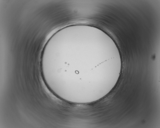 X0000116261483200912291446