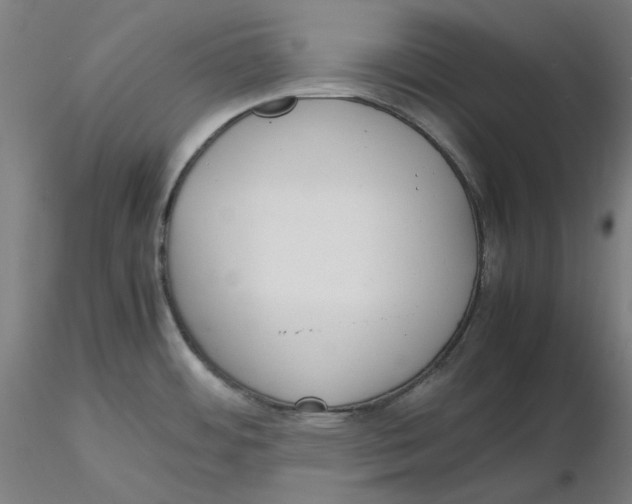 X0000116261484200912291446