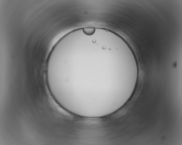 X0000116261486200912291446