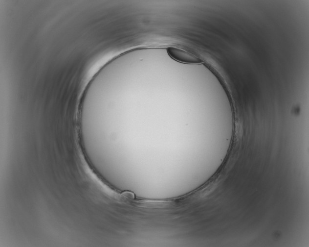 X0000116261487200912291446