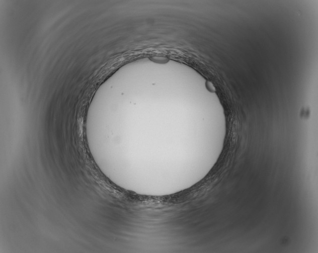X0000116261489200912291445