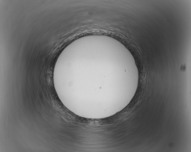 X0000116261490200912291445