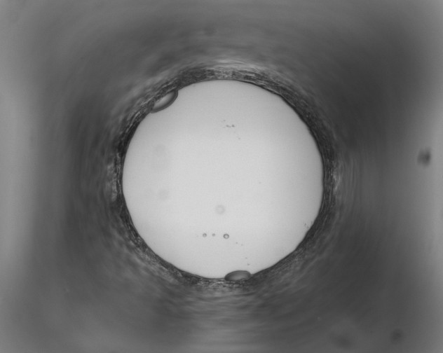 X0000116261493200912291445