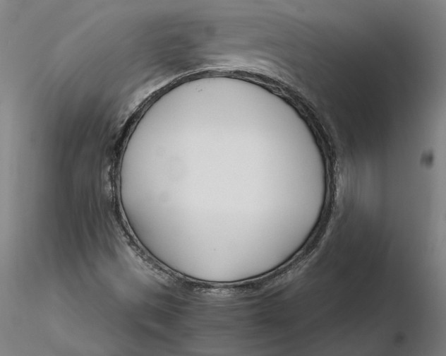 X0000116261497200912291445