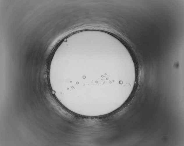 X0000116261498200912291445