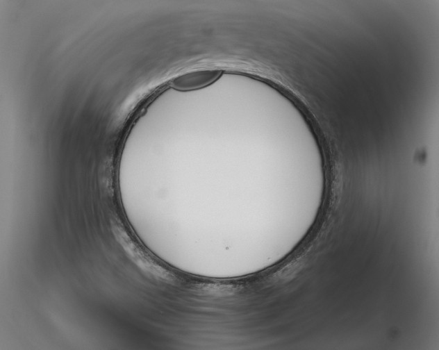 X0000116261499200912291445