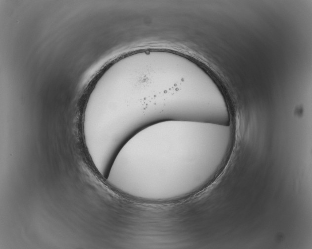 X0000116261502200912291445