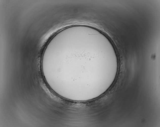 X0000116261503200912291445