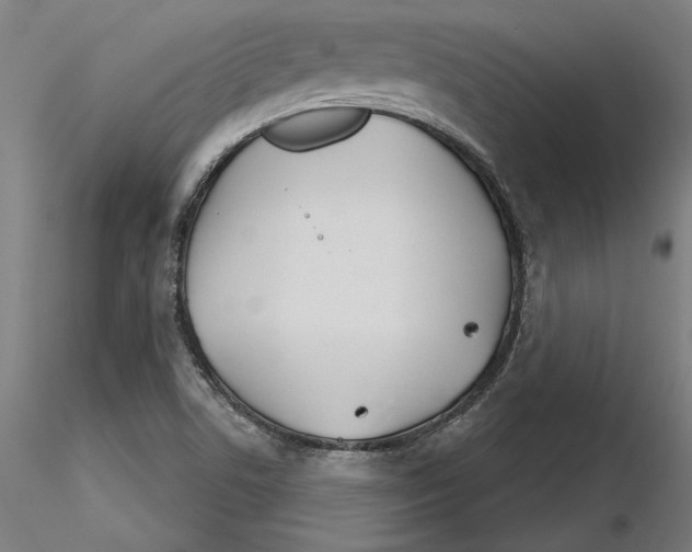 X0000116261506200912291445