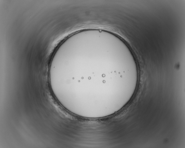 X0000116261507200912291445
