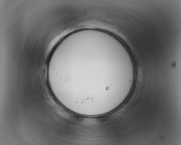 X0000116261509200912291445