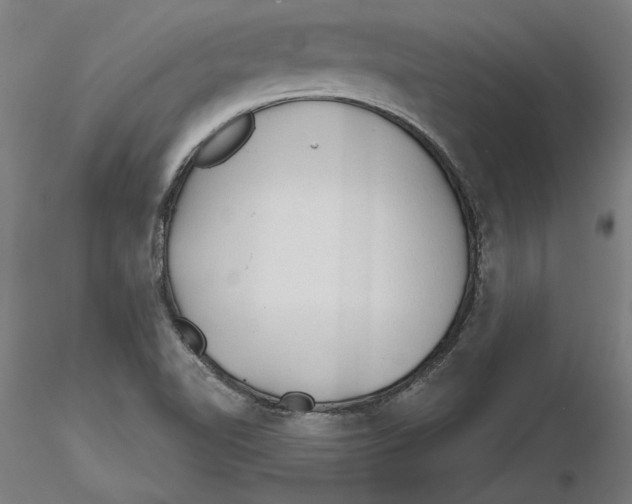 X0000116261510200912291445