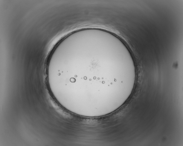 X0000116261511200912291445