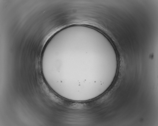 X0000116261513200912291445
