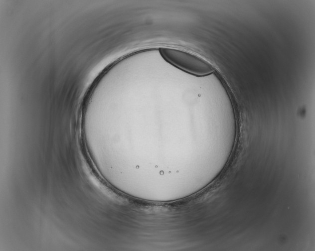 X0000116261515200912291445