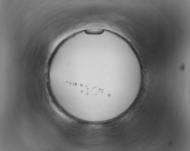 X0000116261519200912291445