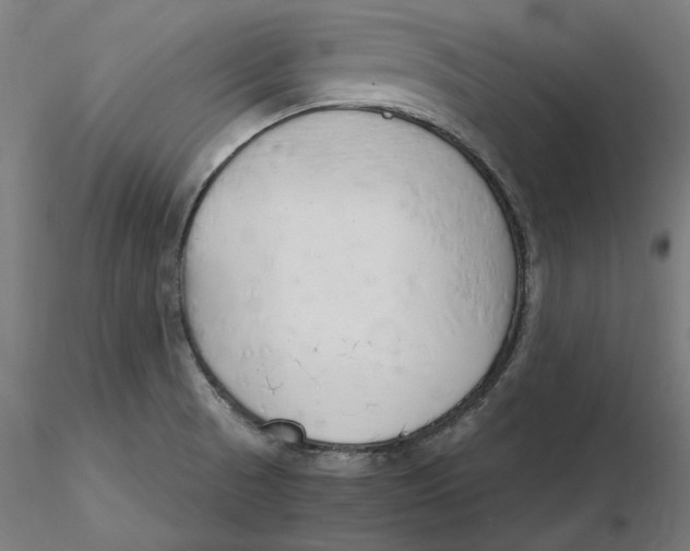 X0000116261521200912291445