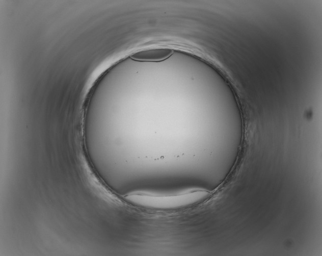 X0000116261522200912291445