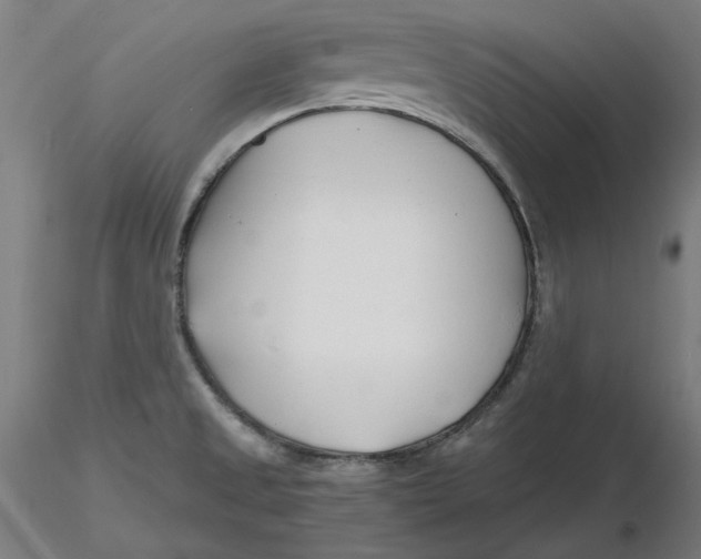 X0000116261525200912291445
