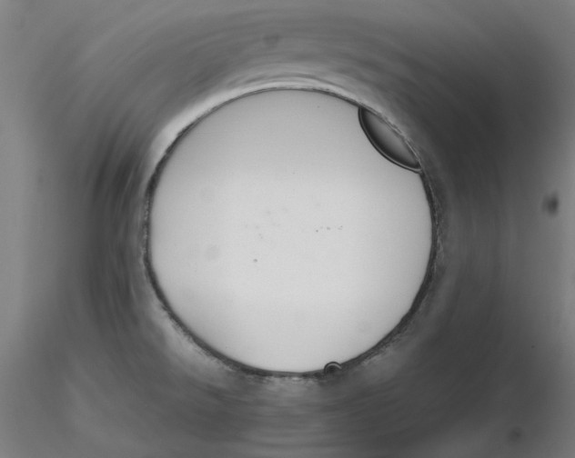 X0000116261526200912291446