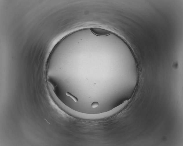 X0000116261527200912291446