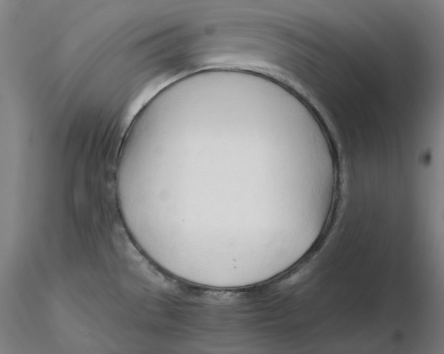 X0000116261529200912291446