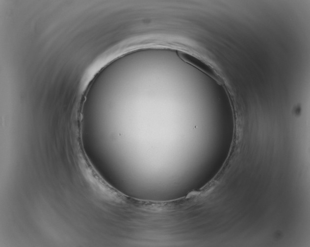 X0000116261530200912291446