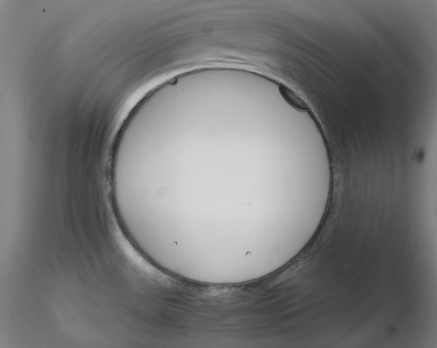 X0000116261531200912291446