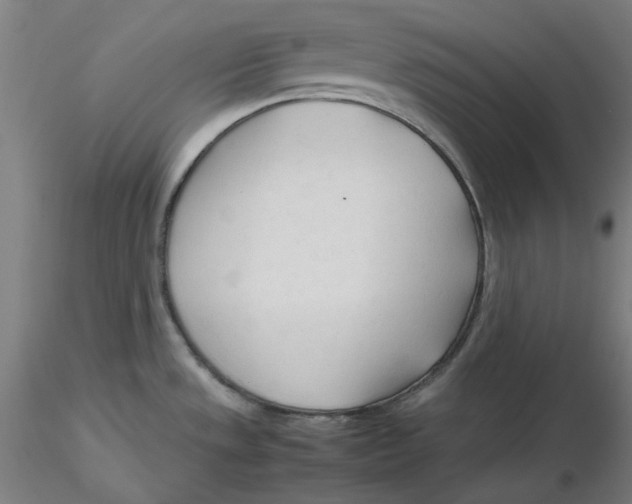 X0000116261533200912291446