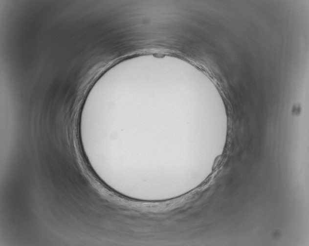 X0000116260001201001111003