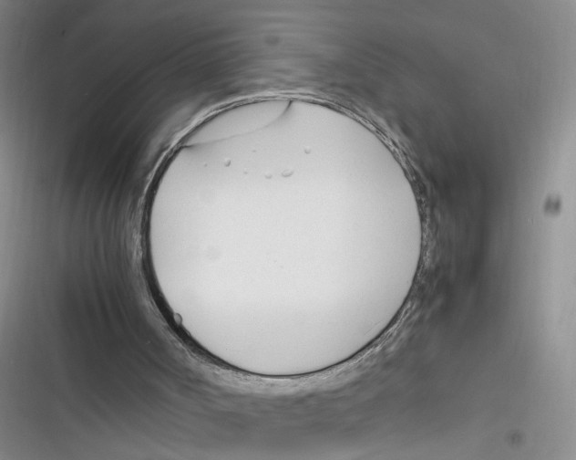 X0000116260002201001111003