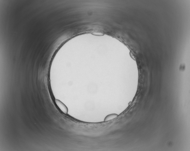 X0000116260003201001111003