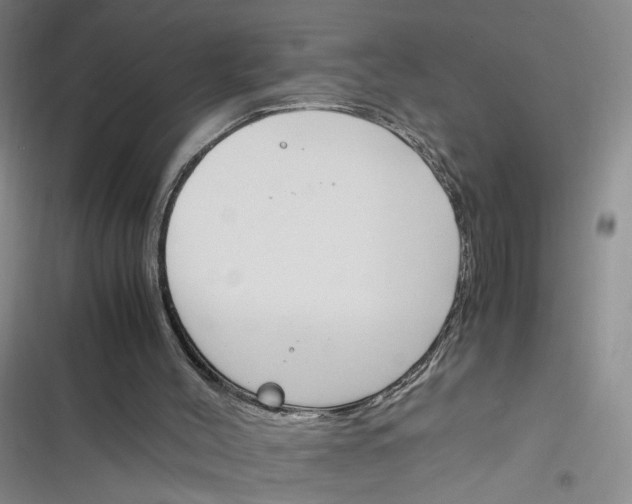 X0000116260004201001111003
