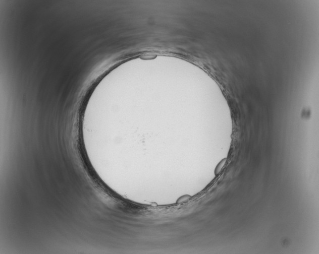 X0000116260005201001111003