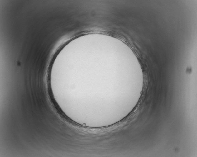 X0000116260006201001111003