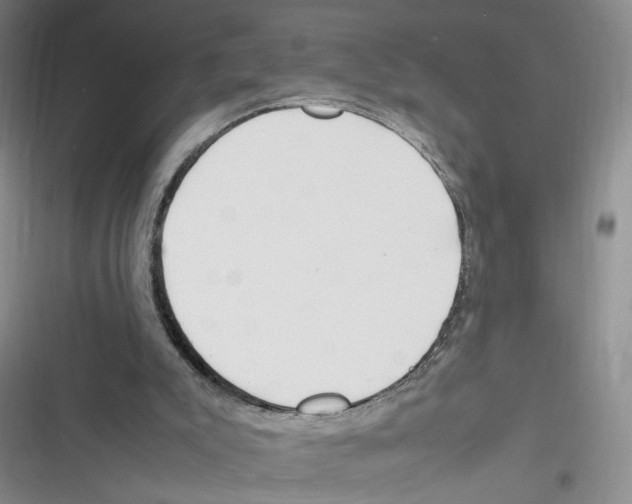 X0000116260007201001111003