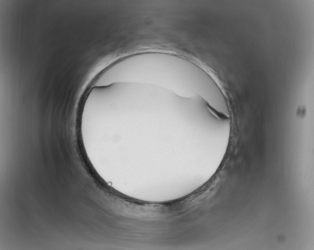 X0000116260008201001111003