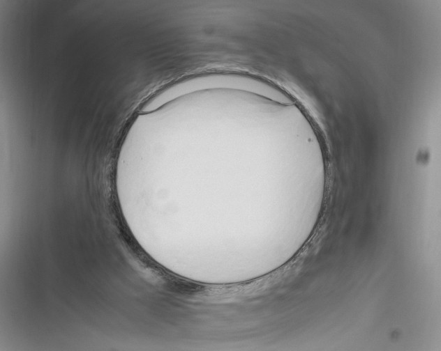 X0000116260009201001111003