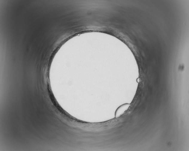 X0000116260011201001111003