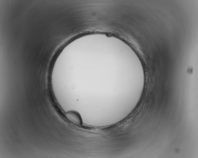 X0000116260012201001111003