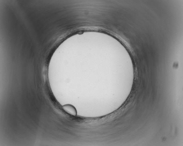 X0000116260013201001111003