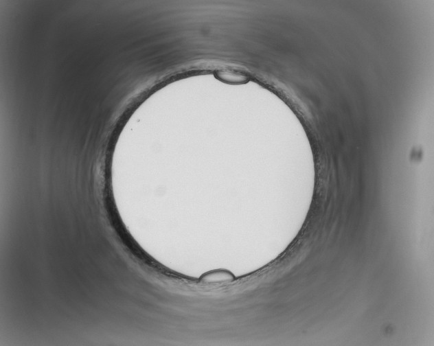 X0000116260015201001111003