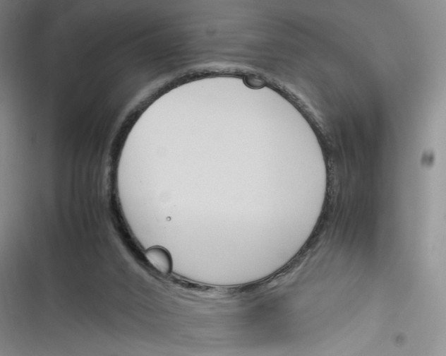 X0000116260016201001111003