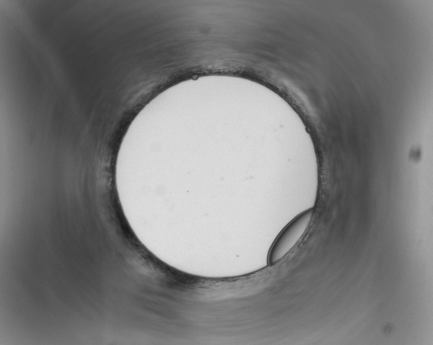 X0000116260017201001111003