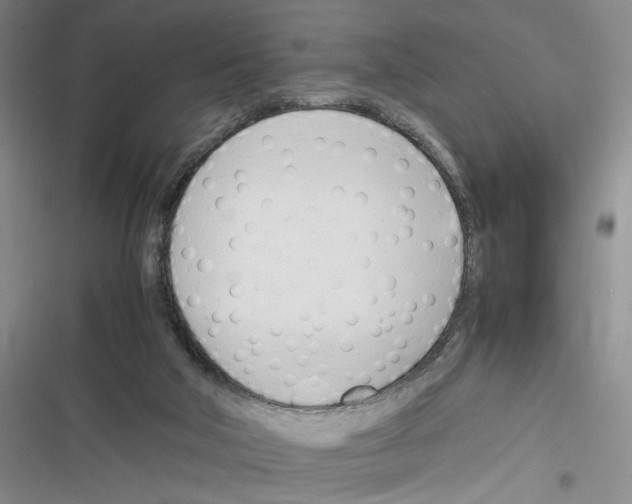 X0000116260018201001111003