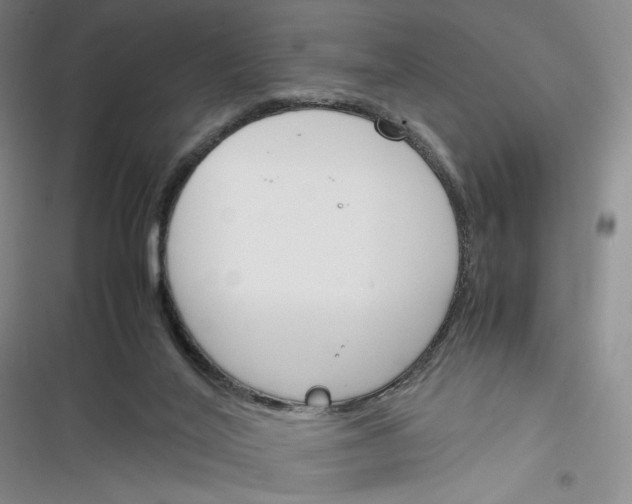 X0000116260020201001111003