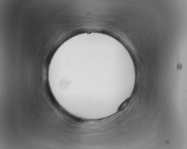 X0000116260021201001111003