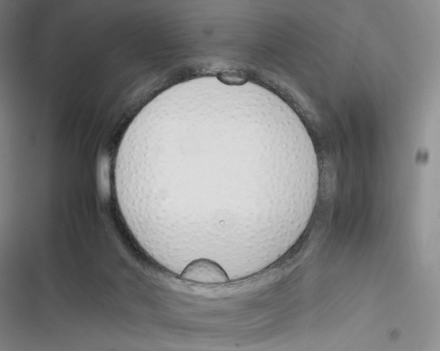 X0000116260022201001111003