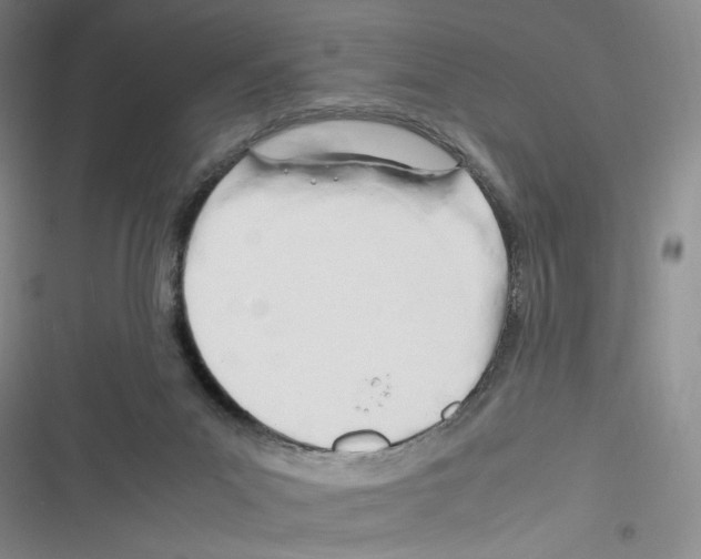 X0000116260023201001111003